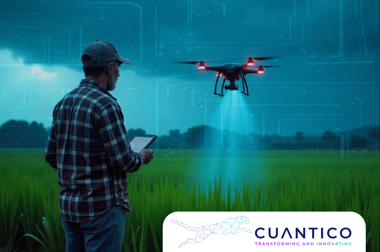 Tecnología de Drones para una Agricultura Inteligente: Innovación Cuantico en el Campo Hombre operando un dron sobre cultivo con tablet en mano, representando agricultura de precisión impulsada por Cuantico con Inteligencia Artificial