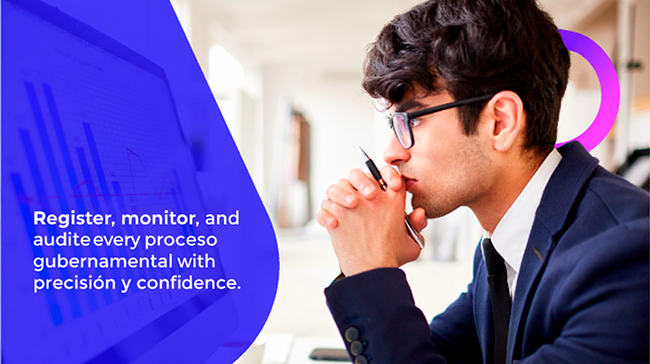 Professional analyzing government processes supported by an efficient and reliable traceability system.