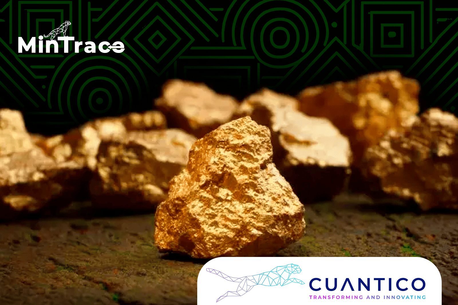 Sistema de trazabilidad de minerales ANM y operadores tecnológicos representado por minerales de oro